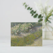 Carte Postale Herbes et papillons par Vincent van Gogh (Debout devant)