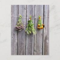 herbes séchées mur gris vintage en bois