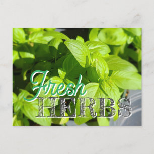 Carte Postale HERBS FRAIS Jardin Basil Recette Canning