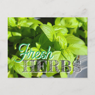 Carte Postale HERBS FRAIS Jardin Basil Recette Canning
