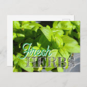 Carte Postale HERBS FRAIS Jardin Basil Recette Canning (Devant / Derrière)