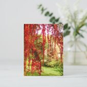 Carte Postale Herbst / Automne (Debout devant)