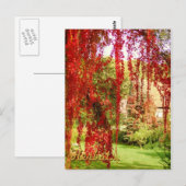 Carte Postale Herbst / Automne (Devant / Derrière)