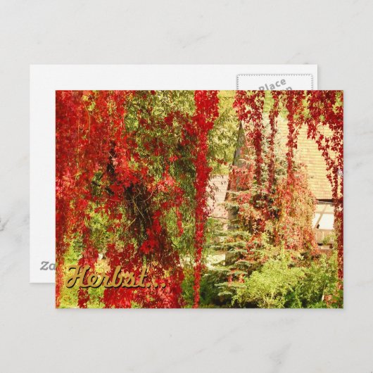 Carte Postale Herbst / Automne (Devant / Derrière)