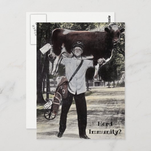 Carte Postale Herd de style antique Livraison de la vache Immuni (Devant / Derrière)