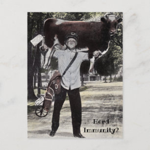Carte Postale Herd de style antique Livraison de vache Immunité 