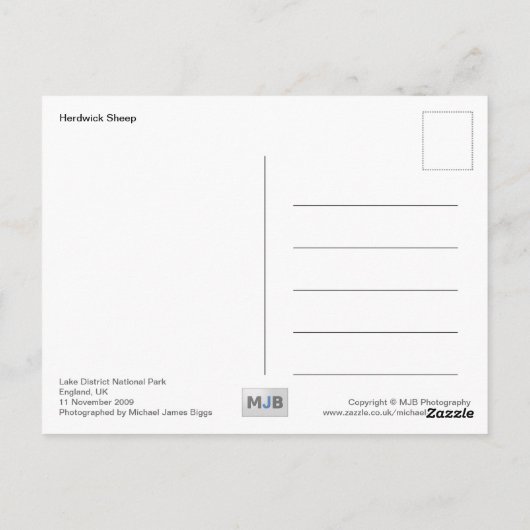 Carte Postale Herdwick Sheep (Dos)