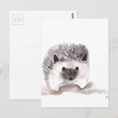 Carte Postale hérisson (Devant / Derrière)