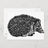 Carte Postale Hérisson (Devant / Derrière)
