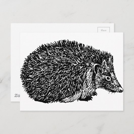 Carte Postale Hérisson (Devant / Derrière)