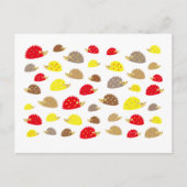 Carte Postale hérisson (Devant)