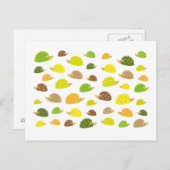 Carte Postale hérisson (Devant / Derrière)