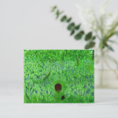 Carte Postale Hérisson Bluebell Wood (Debout devant)