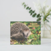 Carte Postale Hérisson de forêt mignon joyeux anniversaire (Debout devant)