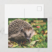 Carte Postale Hérisson de forêt mignon joyeux anniversaire (Devant / Derrière)