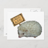 Carte Postale Hérisson de Hugs Libres (Devant / Derrière)