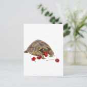 Carte Postale Hermann Tortoise et fraises (Debout devant)