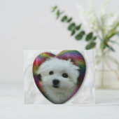 Carte Postale Hermes le Maltais (Debout devant)