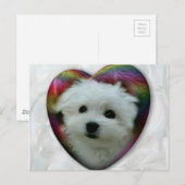 Carte Postale Hermes le Maltais (Devant / Derrière)