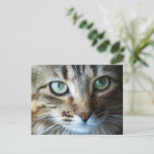 Carte Postale Hermione en haut (Debout devant)