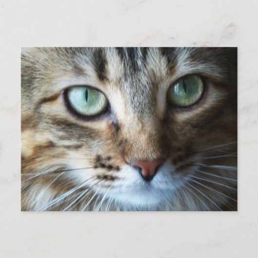 Carte Postale Hermione en haut (Devant)