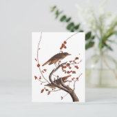 Carte Postale Hermite Grive Audubon Oiseau aux baies rouges (Debout devant)