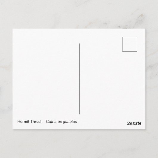 Carte Postale Hermite Thrush (Dos)