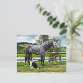 Carte postale "Hero & The Boys" (Debout devant)