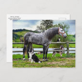 Carte postale "Hero & The Boys" (Devant / Derrière)