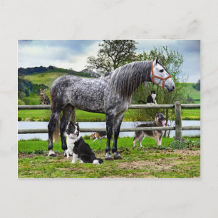 Carte postale "Hero & The Boys"