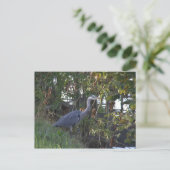 Carte Postale Heron (Debout devant)