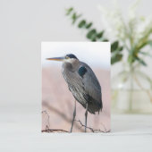 Carte postale Heron (Debout devant)