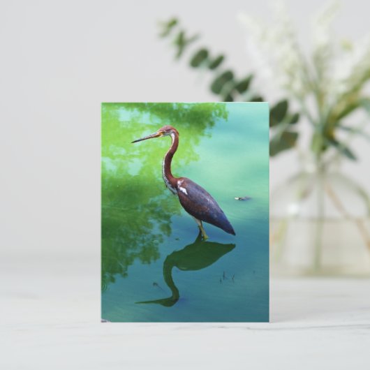 Carte Postale Heron (Debout devant)