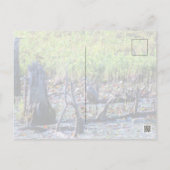 Carte Postale Heron 6467 (Dos)