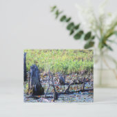 Carte Postale Heron 6467 (Debout devant)