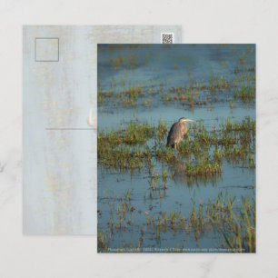 Carte Postale Heron 6937