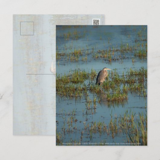 Carte Postale Heron 6937 (Devant / Derrière)