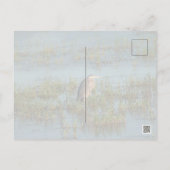 Carte Postale Heron 6937 (Dos)
