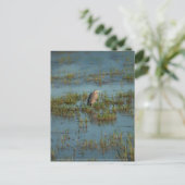 Carte Postale Heron 6937 (Debout devant)