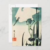 Carte Postale Héron blanc et iris (Devant / Derrière)