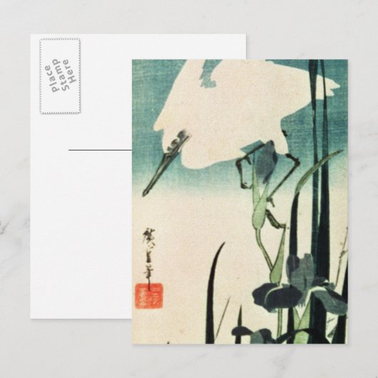 Carte Postale Héron blanc et iris (Devant / Derrière)