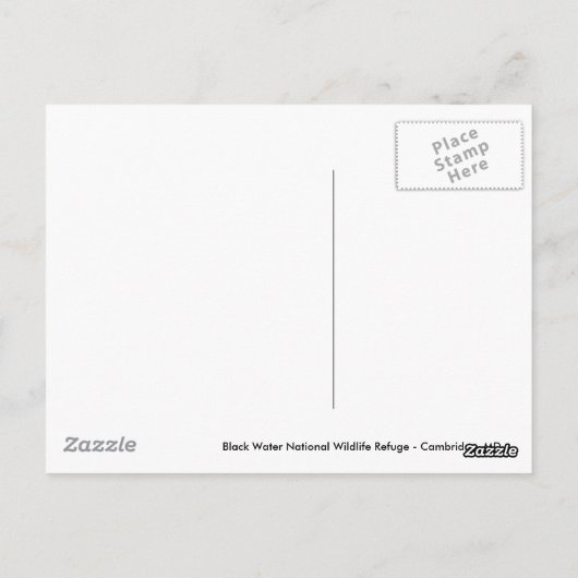 Carte Postale Héron bleu (Dos)