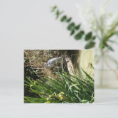 Carte Postale Héron bleu au zoo de San Diego (Debout devant)