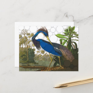 Carte Postale Héron bleu de Louisiane par John James Audubon