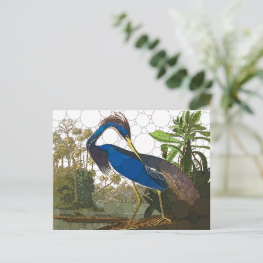 Carte Postale Héron bleu de Louisiane par John James Audubon (Debout devant)
