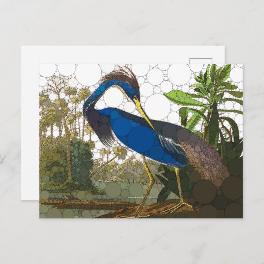 Carte Postale Héron bleu de Louisiane par John James Audubon (Devant / Derrière)