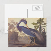 Carte Postale Héron de la Louisiane d'Audubon ou héron de (Devant / Derrière)