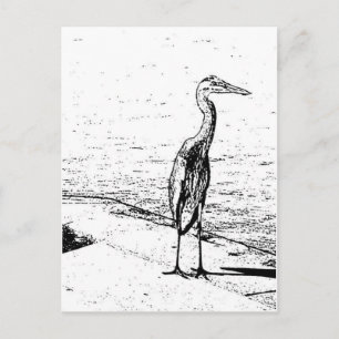 Carte Postale Heron In Ink