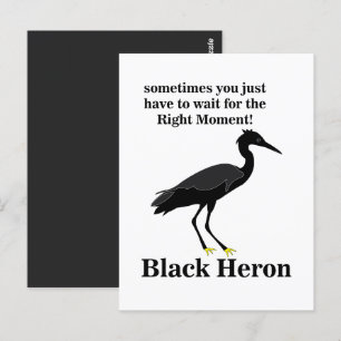 Carte Postale Héron noir aigrette oiseau faune