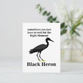 Carte Postale Héron noir aigrette oiseau faune (Debout devant)